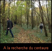 recherche du centaure