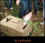 le centaure